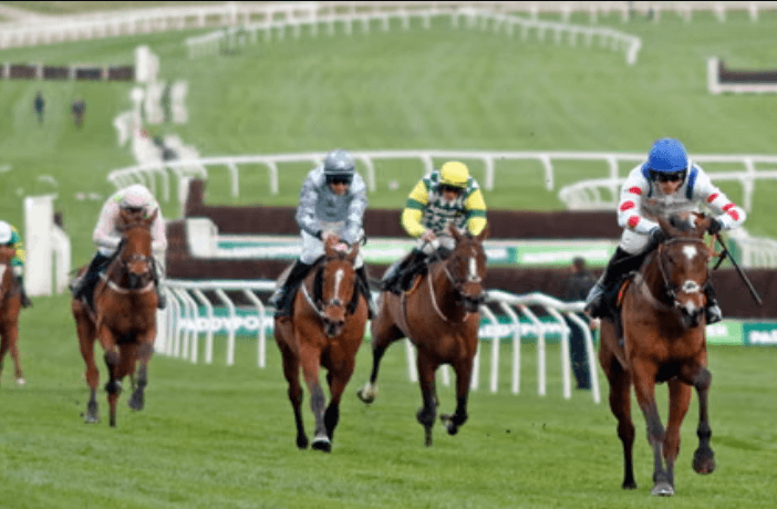 Horse Racing and Animal Welfare: Striving for Ethical Treatment