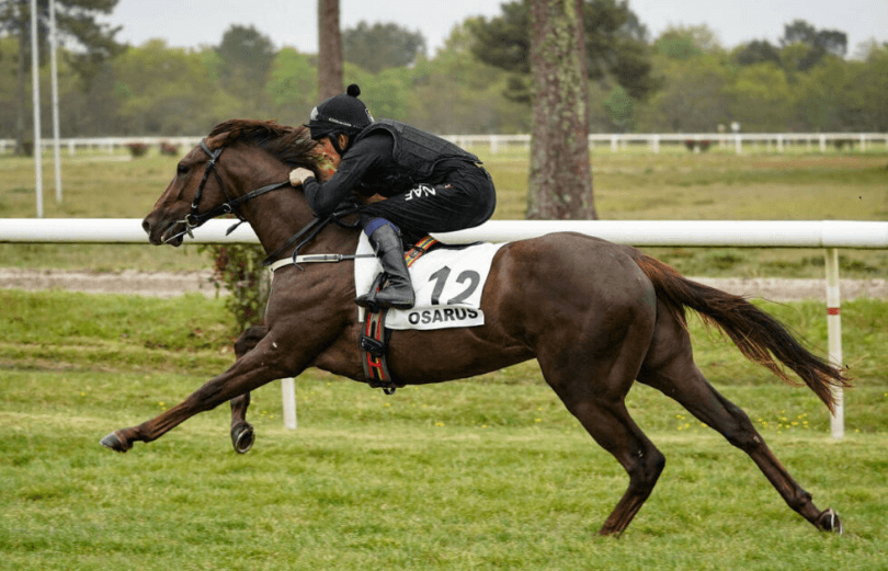 The Evolution of Racehorse Training Methods