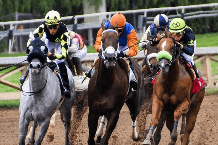 The Most Memorable Horse Racing Moments in History