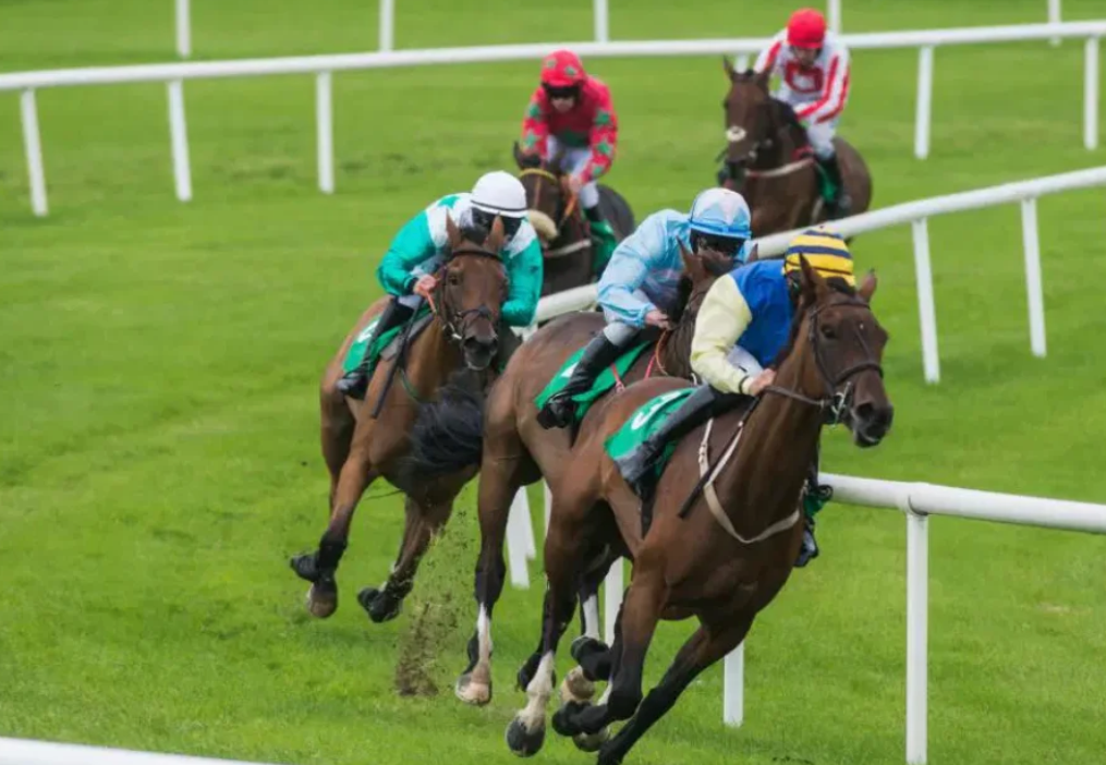 stato turf || statoturf