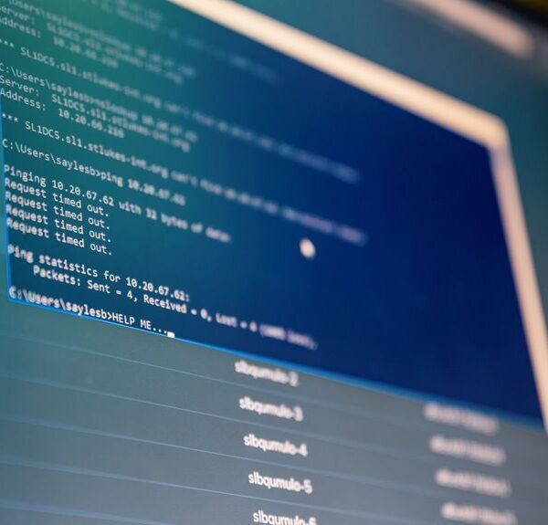 distributed network activity summary identifiers